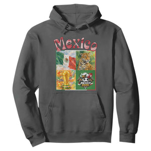 Mexico National Soccer Lover Hoodie Patriotic Mexican Fan Gift TS12 Dark Heather Print Your Wear