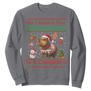 Funny Xmas Sweatshirt All I Want For Christmas Is A Capybara TS12 Charcoal Print Your Wear
