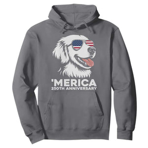 Merica Golden Retriever Lover Hoodie 250th Anniversary Gift TS12 Charcoal Print Your Wear