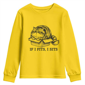 If I Fits I Sits Youth Sweatshirt Chubby Kitty Funny Cat Lover Gift TS12 Daisy Print Your Wear