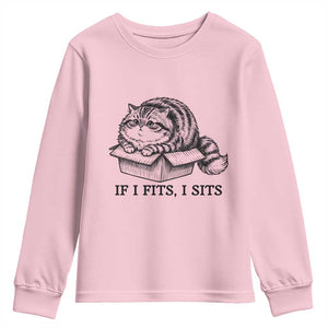 If I Fits I Sits Youth Sweatshirt Chubby Kitty Funny Cat Lover Gift TS12 Light Pink Print Your Wear