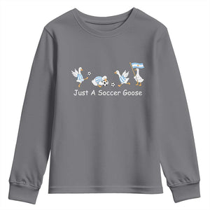 Funny Just A Soccer Goose Youth Sweatshirt Argentina Soccer Lover
