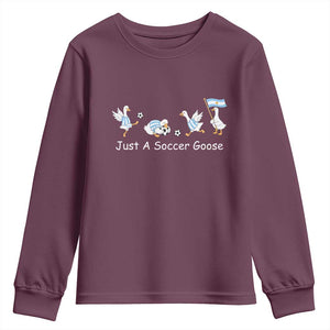 Funny Just A Soccer Goose Youth Sweatshirt Argentina Soccer Lover