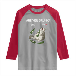 Cat Lover Humor Raglan Shirt Are You Drunk Funny Beer Gift TS12 Sport Gray Red Print Your Wear