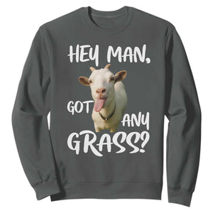 Hey Man Got Any Grass Sweatshirt Funny Goat Stoner Gift TS12 Dark Heather Print Your Wear