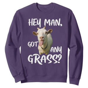 Hey Man Got Any Grass Sweatshirt Funny Goat Stoner Gift TS12 Purple Print Your Wear