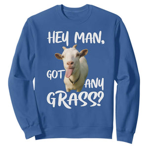 Hey Man Got Any Grass Sweatshirt Funny Goat Stoner Gift TS12 Royal Blue Print Your Wear