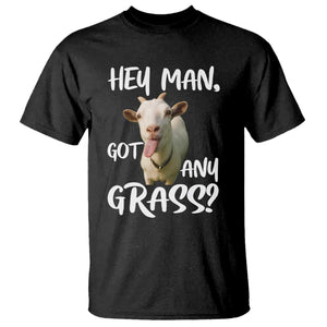 Hey Man Got Any Grass T Shirt Funny Goat Stoner Gift TS12 Black Print Your Wear