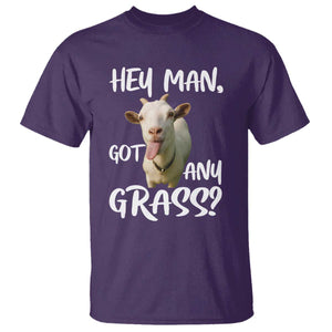 Hey Man Got Any Grass T Shirt Funny Goat Stoner Gift TS12 Purple Print Your Wear
