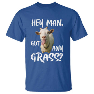 Hey Man Got Any Grass T Shirt Funny Goat Stoner Gift TS12 Royal Blue Print Your Wear