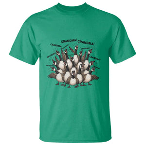 Funny Silly Goose Grandma T Shirt Chaos Coordinator Grandma Life Graphic TS12 Irish Green Print Your Wear