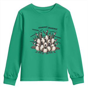 Funny Silly Goose Grandma Youth Sweatshirt Chaos Coordinator Grandma Life Graphic TS12 Irish Green Print Your Wear