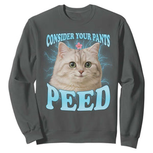 Funny Cat Sweatshirt Consider Your Pants Peed Meme Saying TS12 Dark Heather Print Your Wear