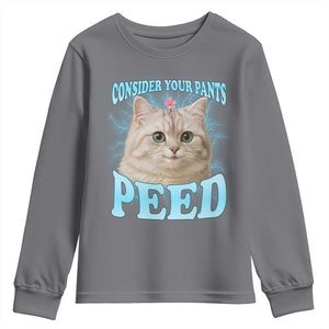 Funny Cat Youth Sweatshirt Consider Your Pants Peed Meme Saying TS12 Charcoal Print Your Wear