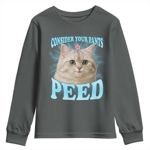 Funny Cat Youth Sweatshirt Consider Your Pants Peed Meme Saying TS12 Dark Heather Print Your Wear
