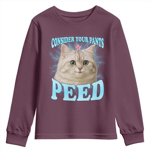Funny Cat Youth Sweatshirt Consider Your Pants Peed Meme Saying TS12 Maroon Print Your Wear