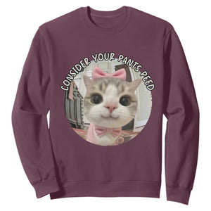 Consider Your Pants Peed Sweatshirt Funny Cat Meme Saying TS12 Maroon Print Your Wear