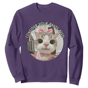 Consider Your Pants Peed Sweatshirt Funny Cat Meme Saying TS12 Purple Print Your Wear
