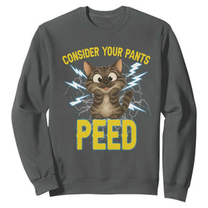 Funny Cat Lover Sweatshirt Consider Your Pants Peed Quote TS12 Dark Heather Print Your Wear