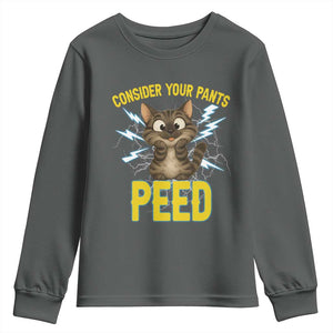 Funny Cat Lover Youth Sweatshirt Consider Your Pants Peed Quote TS12 Dark Heather Print Your Wear
