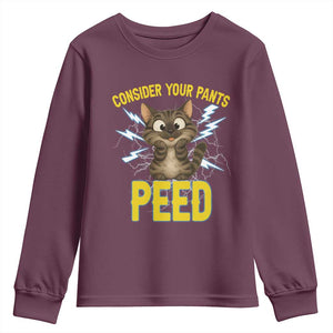Funny Cat Lover Youth Sweatshirt Consider Your Pants Peed Quote TS12 Maroon Print Your Wear