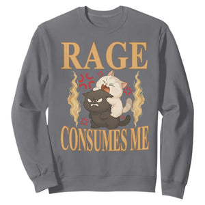 Cute Cat Sweatshirt Rage Is Consuming Me TS12 Charcoal Print Your Wear