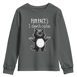 Funny Cat Lover Youth Sweatshirt Fun Fact I Do Not Care Quote TS12 Dark Heather Print Your Wear