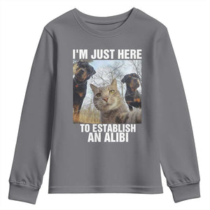 Funny Cat Dog Selfie Youth Sweatshirt I Am Just Here To Establish An Alibi TS14 Charcoal Print Your Wear