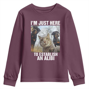 Funny Cat Dog Selfie Youth Sweatshirt I Am Just Here To Establish An Alibi TS14 Maroon Print Your Wear