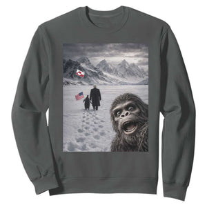 Nihilist Penguin Trump Hiking Mountains Sweatshirt Funny Bigfoot Selfie But Why TS14 Dark Heather Print Your Wear
