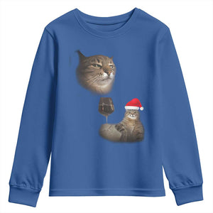Funny Cat Christmas Youth Sweatshirt Cats Drinking Wine Oddly Specific Meme TS14 Royal Blue Print Your Wear