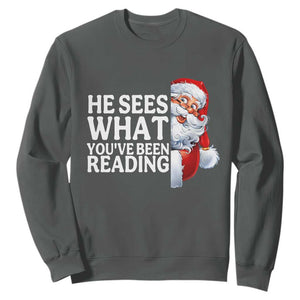 He Sees What You Have Been Reading Sweatshirt Funny Bookish Christmas Book Lover TS14 Dark Heather Print Your Wear
