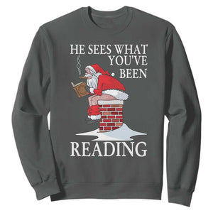 Funny Bookish Christmas Sweatshirt He Sees What You Have Been Reading TS14 Dark Heather Print Your Wear
