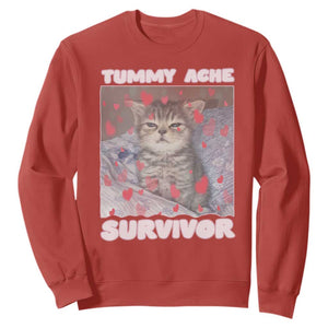 Tummy Ache Survivor Sweatshirt Funny Cute Cat Meme TS14 Red Print Your Wear