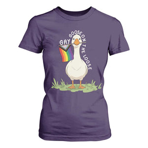 Silly Goose LGBTQ Rainbow T Shirt For Women Funny Gay Pride Month