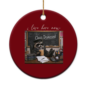 Funny Raccoon Graduation Ceramic Ornament I Live Here Now TS14 1pc Red Print Your Wear