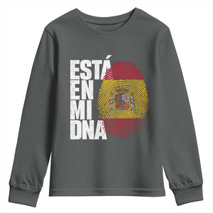 It's in My DNA Espana Spain Spanish Flag Pride Youth Sweatshirt TS14 Dark Heather Print Your Wear