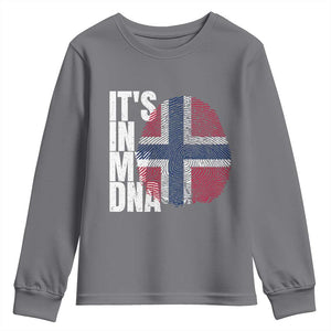 It's in My DNA Norway Norwegian Flag Pride Youth Sweatshirt TS14 Charcoal Print Your Wear