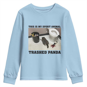 Trashed Panda Youth Sweatshirt My Spirit Animal Funny Drunk Raccoon Meme TS14 Light Blue Print Your Wear