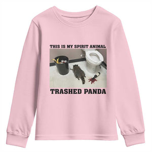 Trashed Panda Youth Sweatshirt My Spirit Animal Funny Drunk Raccoon Meme TS14 Light Pink Print Your Wear