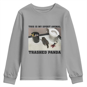 Trashed Panda Youth Sweatshirt My Spirit Animal Funny Drunk Raccoon Meme TS14 Sport Gray Print Your Wear