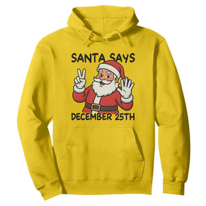 Santa Christmas December 25th Season Hoodie TS14 Daisy Print Your Wear