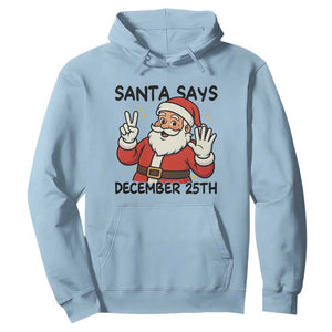Santa Christmas December 25th Season Hoodie TS14 Light Blue Print Your Wear