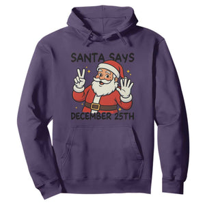 Santa Christmas December 25th Season Hoodie TS14 Purple Print Your Wear