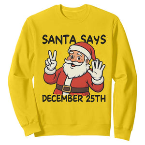 Santa Christmas December 25th Season Sweatshirt TS14 Daisy Print Your Wear