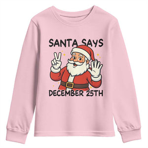 Santa Christmas December 25th Season Youth Sweatshirt TS14 Light Pink Print Your Wear