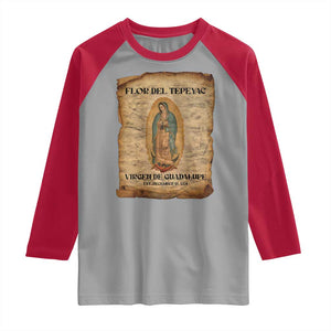 Virgin Mary Raglan Shirt Our Lady Virgen De Guadalupe TS14 Sport Gray Red Print Your Wear