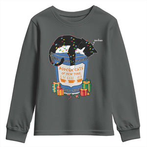 Bodega Cats of New York Youth Sweatshirt Funny Democrat Christmas TS14 Dark Heather Print Your Wear