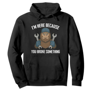 Funny Bigoot Mechanic Hoodie I Am Here Because You Broke Something Repair TS14 Black Print Your Wear