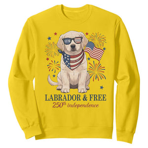 250th Anniversary USA Sweatshirt Labrador Retriever American Flag 4th of July TS14 Daisy Print Your Wear